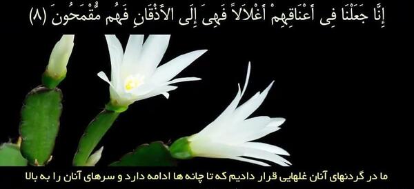 سوره الرحمن کامل عکس