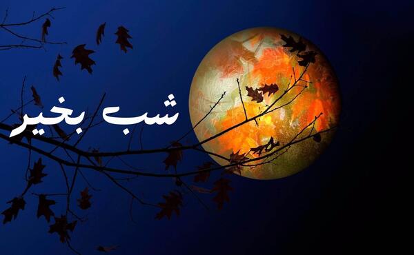 عکس برای وضعیت واتساپ در مورد شب قدر