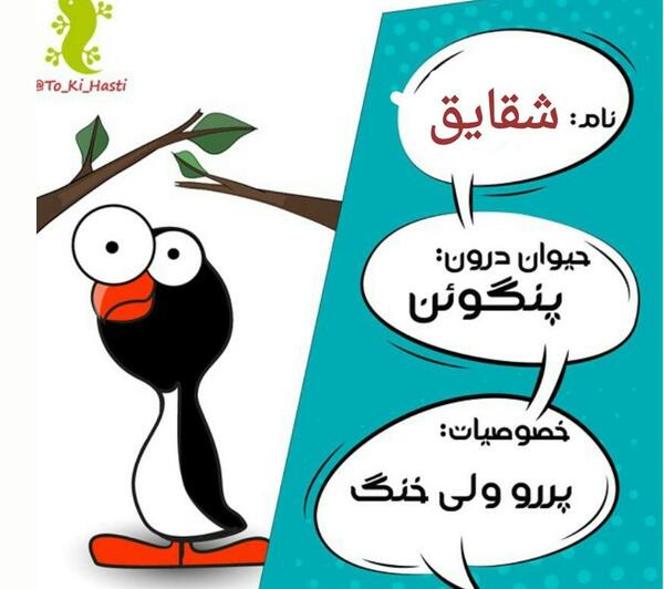 عکس نوشته شقایق دوست دارم
