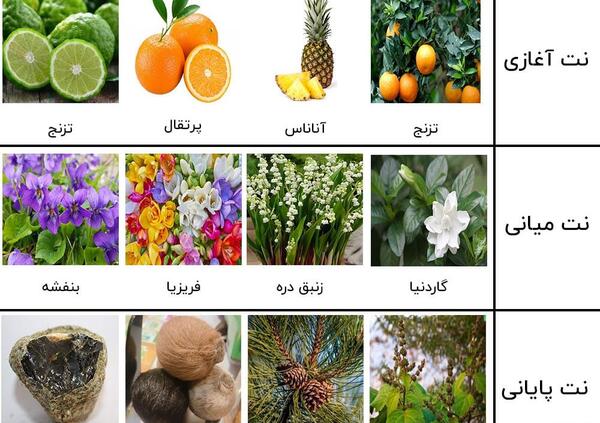 عکس ادکلن زن