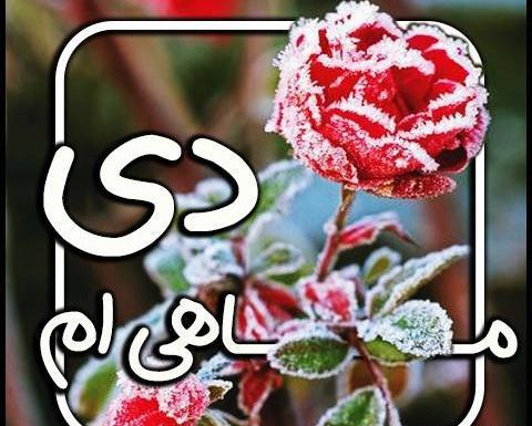 عکس تصاویر دی ماهی ام
