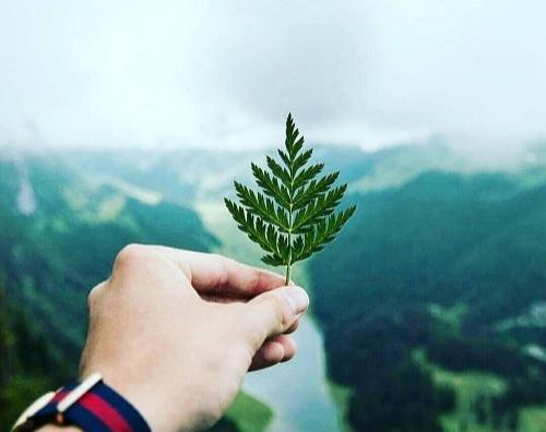 عکس بدون نوشته سنگین