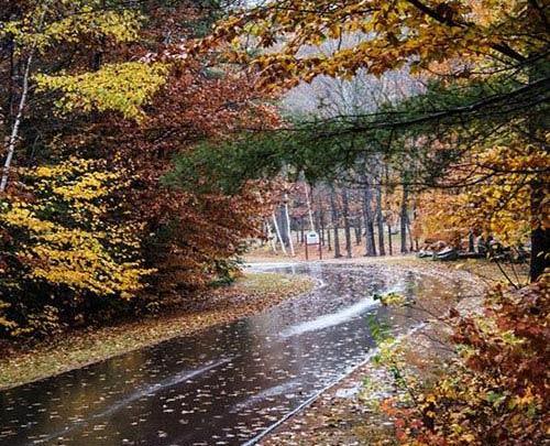 عکس طبیعت بارانی برای پروفایل