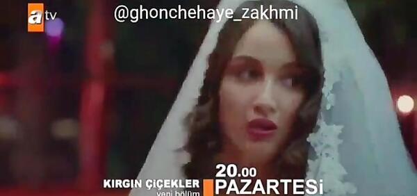 عکس فادیک در غنچه های زخمی