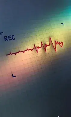 عکس مرینت مدرن