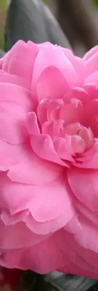 عکس نوشته های ساز