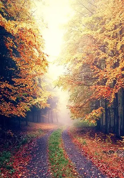 عکس نوشته های ساز