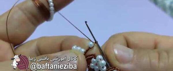 عکس کریشی صدفی