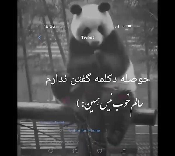 عکسهای جدید غمگین متنی