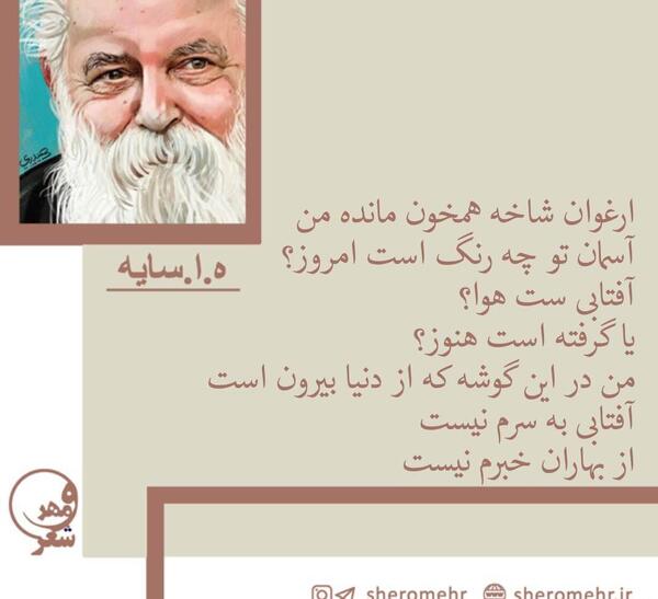 عکس ارغوان محمدی