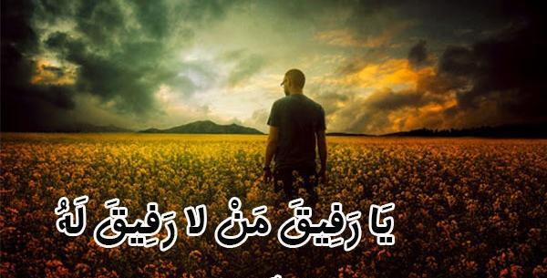 عکس نوشته یا رفیق من لا رفیق له