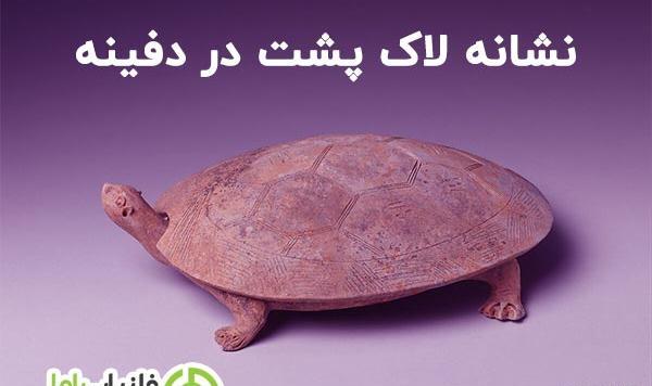 عکس لاک پشت نشانه چیست