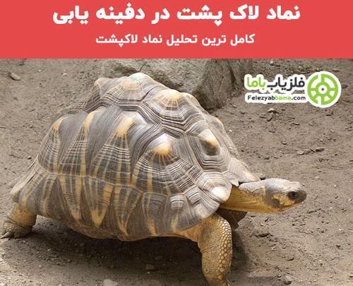 عکس لاک پشت نشانه چیست