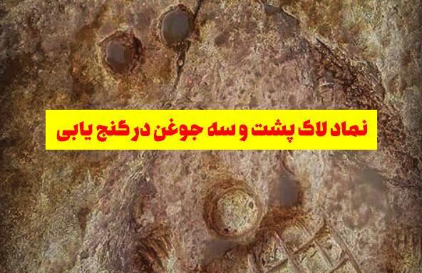 عکس لاک پشت نشانه چیست