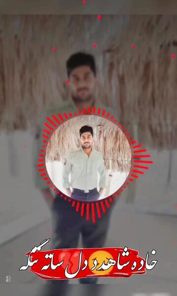 عکس ببر قلی