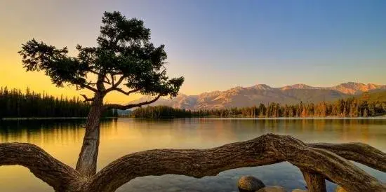عکس پروفایل زیبا زن