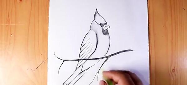 عکس نقاشی فانتزی پرنده