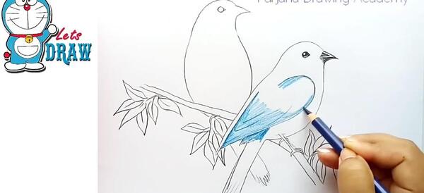 عکس نقاشی فانتزی پرنده