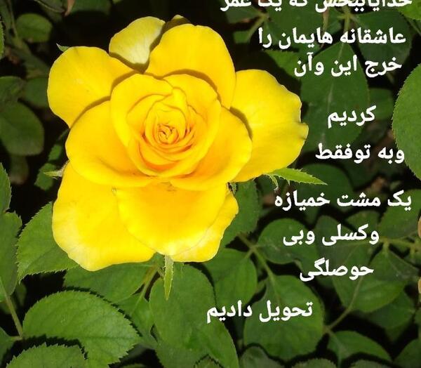 عکس پروفایل خدایا ببخش
