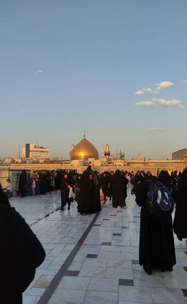 عکس و فیلم پیاده روی اربعین