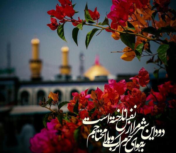 عکس نوشته قلبم سنگینی میکنه