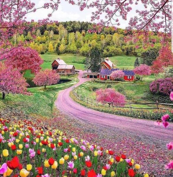 عکس تصاویر طبیعت برای پروفایل