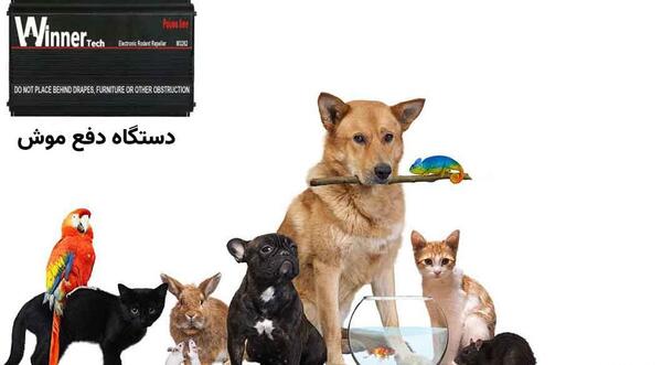 عکس حیوانات موذی