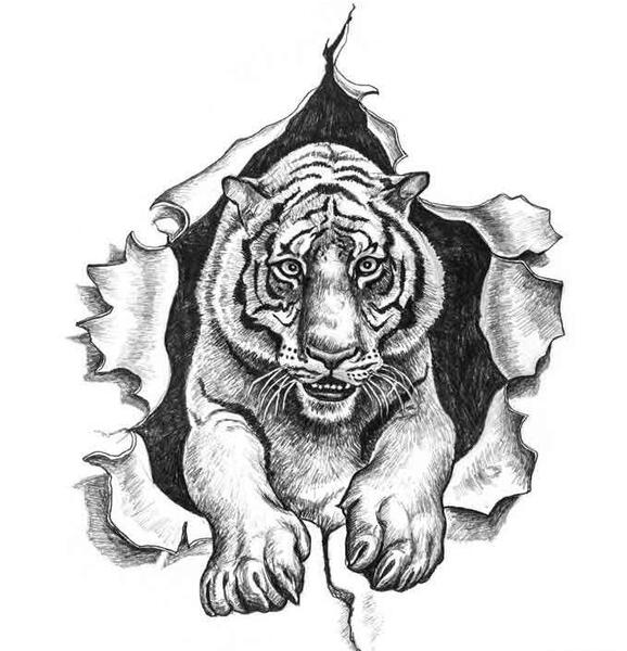 عکس نقاشی ببر