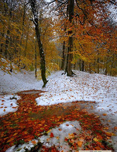 عکس پاییز در ژاپن