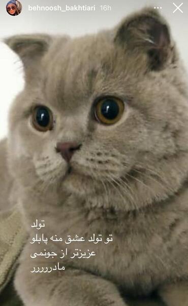 عکس فرشته حسینی چند خواهر برادر دارد