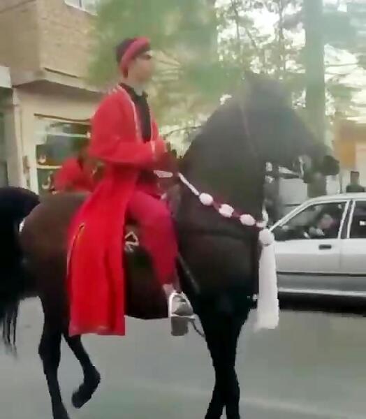عکس اسب شمر