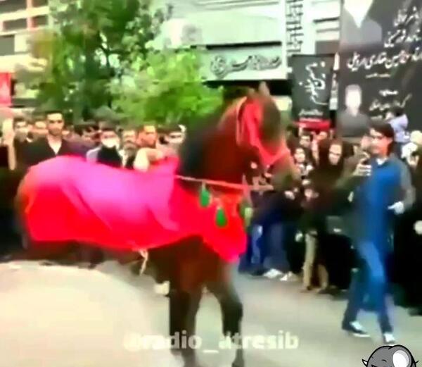 عکس اسب شمر