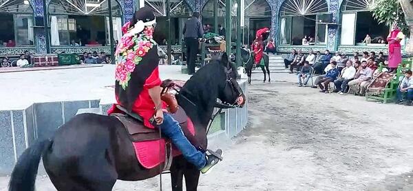 عکس اسب شمر