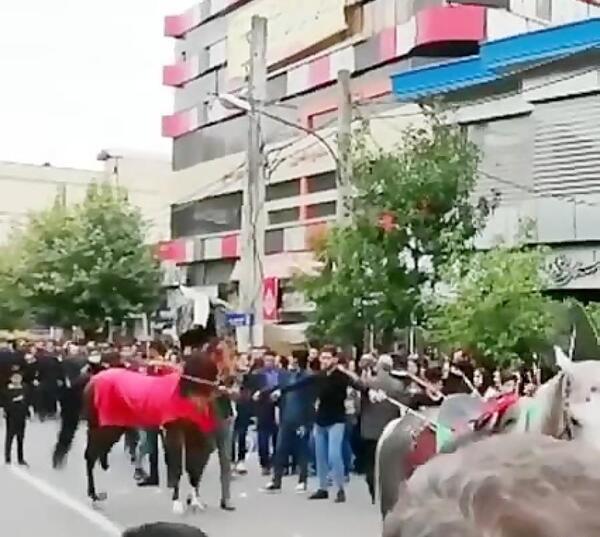 عکس اسب شمر