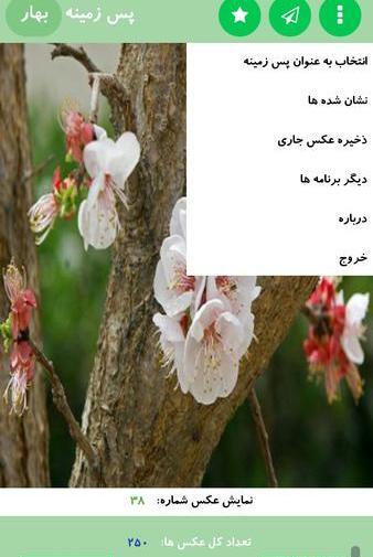 عکس های زیبای بهار