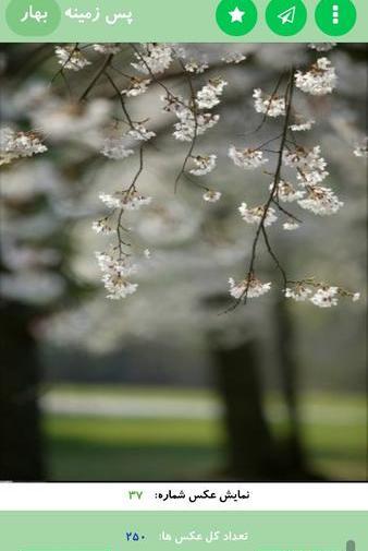 عکس های زیبای بهار