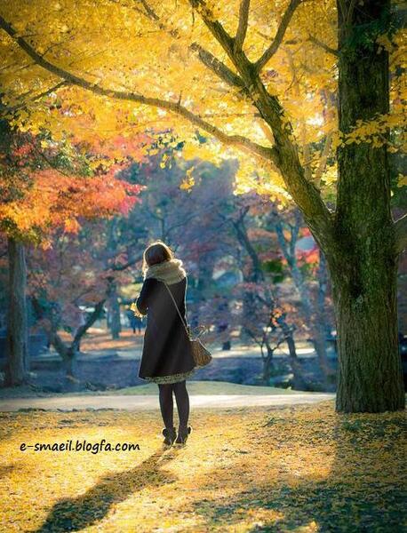 دانلود عکس پاییزی عاشقانه