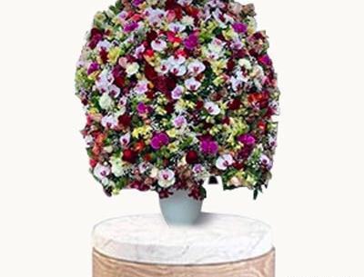 عکس دسته گل زیبا برای دوست