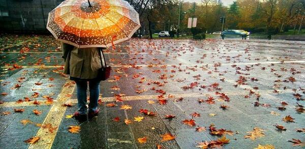 عکس پاییز بارانی متحرک