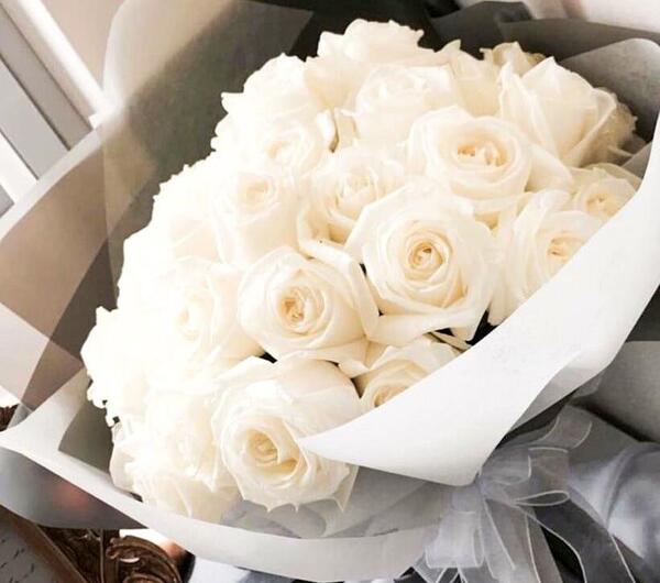عکس گل رز سفید برای پروفایل