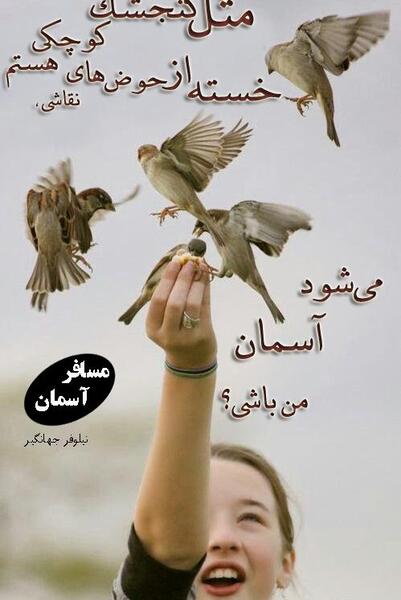 عکس زمستانی گنجشک