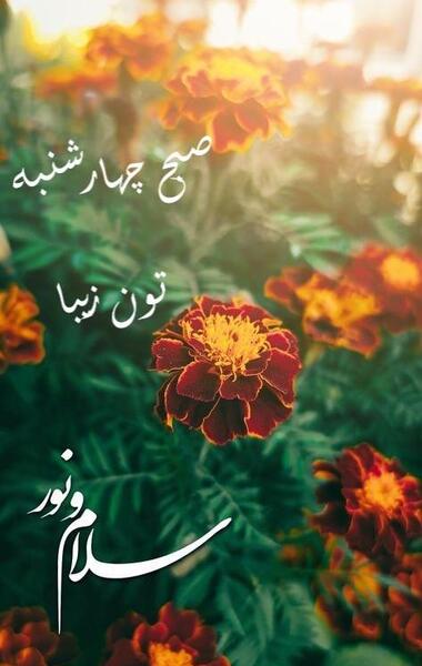 عکس نوشته صبح چهارشنبه تون بخیر