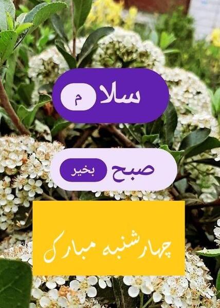 عکس نوشته صبح چهارشنبه تون بخیر