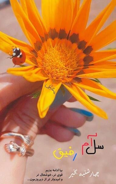 عکس نوشته صبح چهارشنبه تون بخیر