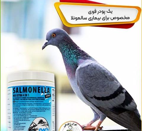 عکس عروس هلندی مریض