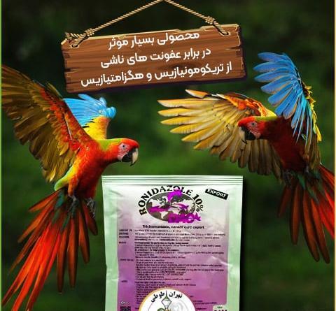 عکس عروس هلندی مریض