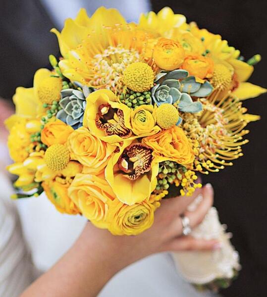 عکس حلقه گل طبیعی