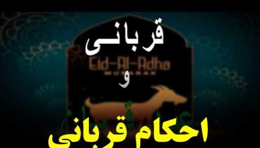 عکس عید نوروز ۱۴۰۰ برای وضعیت واتساپ