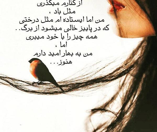 عکس نوشته رویایی عاشقانه