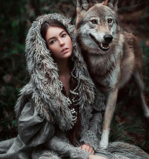 عکس گرگ سفید برای پروفایل